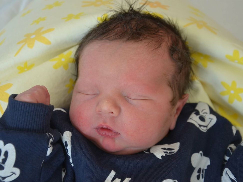 Phil Helmut Hammerschmidt