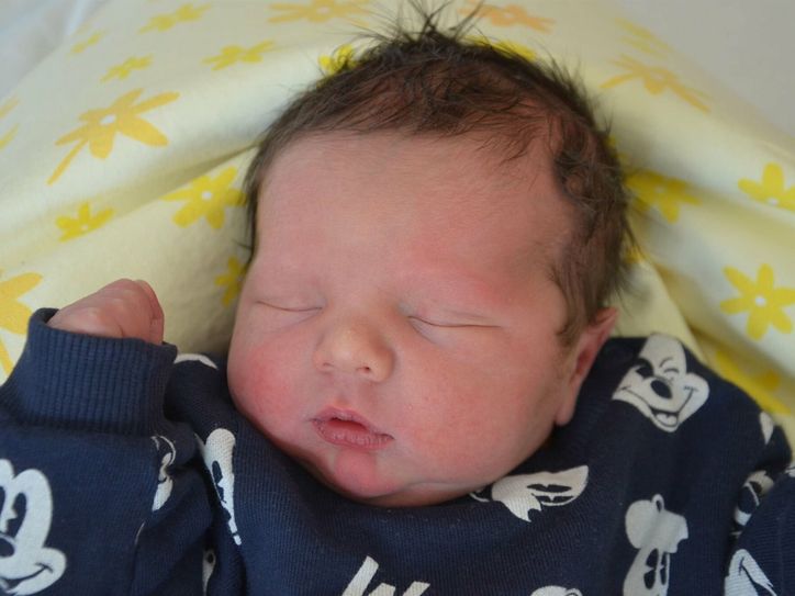 Phil Helmut Hammerschmidt