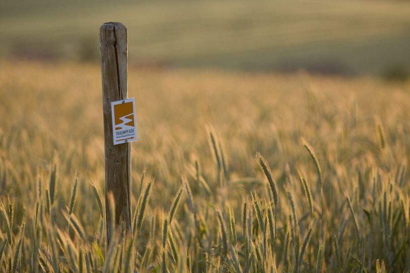 Der preisgekrönte Mosel-Traumpfad Eltzer Burgpanorama führt zur Burg Eltz. Foto: Traumpfade/Kappest