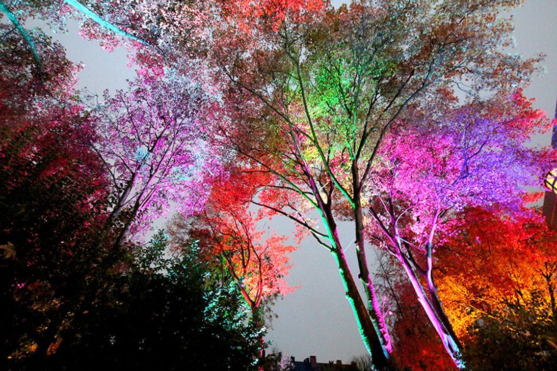 „Beeindruckende Licht- und Farberlebnisse bietet der Eifelpark