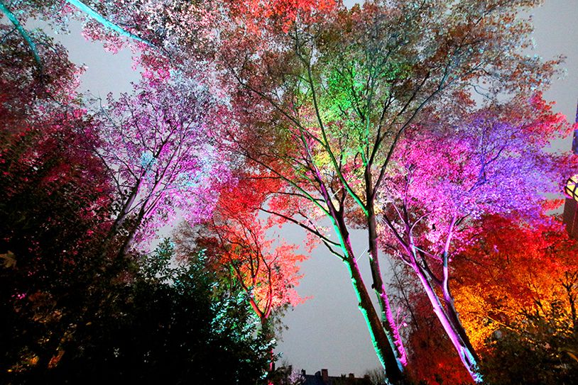 „Beeindruckende Licht- und Farberlebnisse bietet der Eifelpark