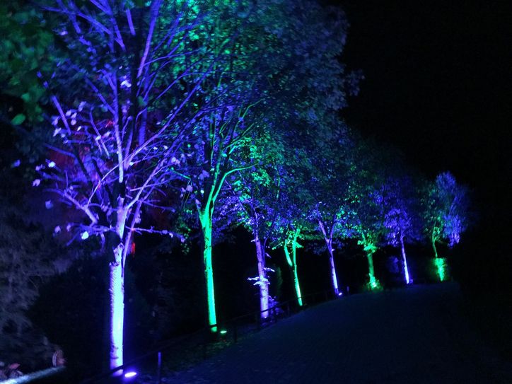 Gondorf noch bis zum 15. Oktober mit dem 1. Herbstleuchten des Lichtkünstlers Wolfgang Flammersfeld. Fotos: W. Flammersfeld