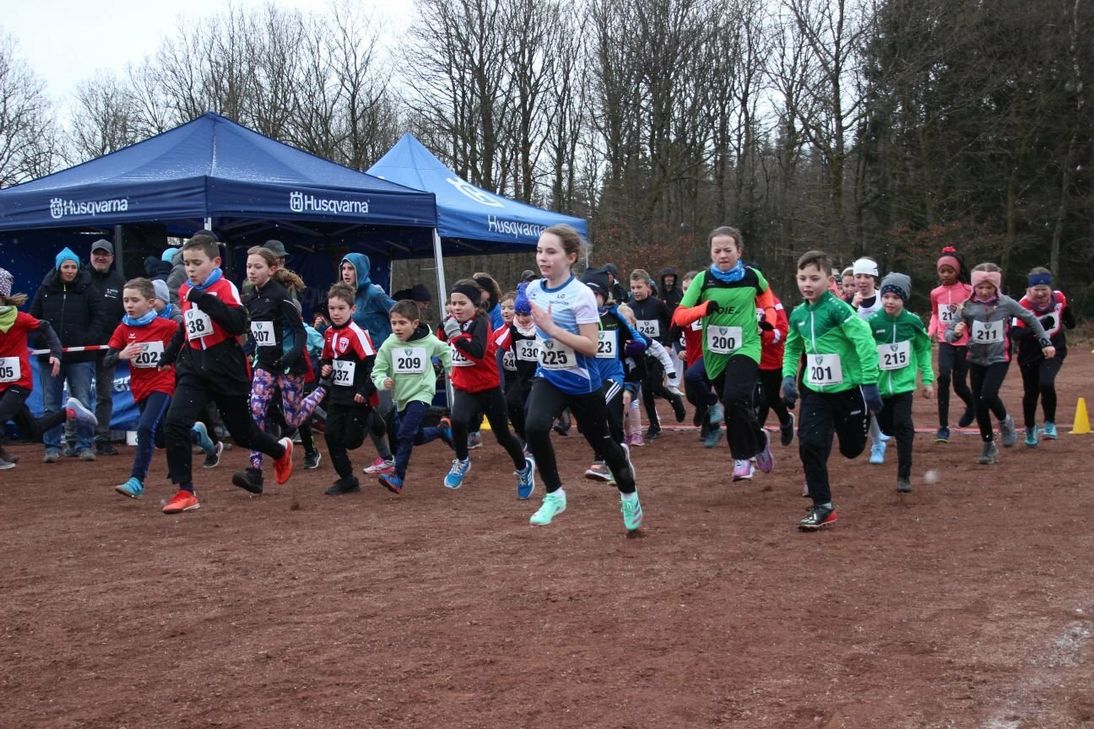 Crosslauf in Schwollen