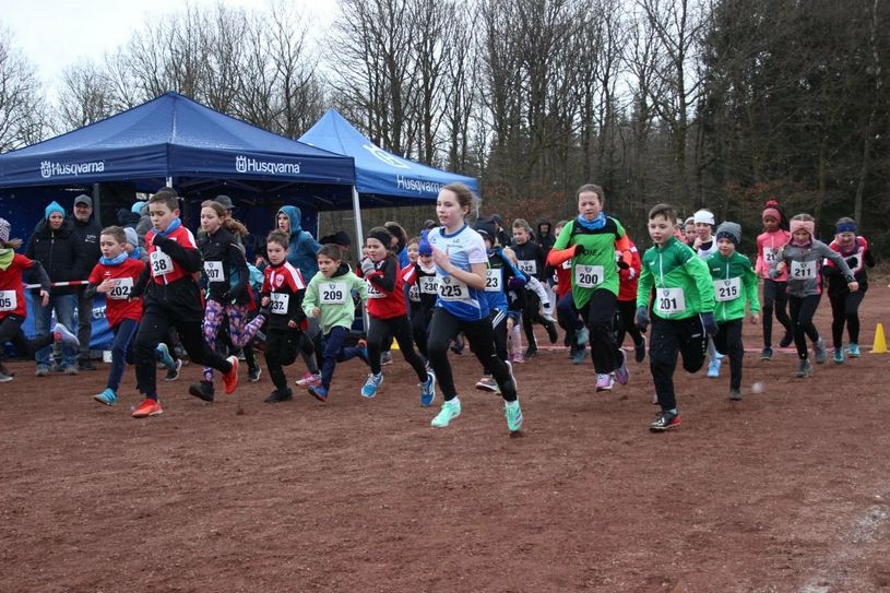 Crosslauf in Schwollen