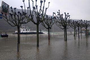 Das Hochwasser- und Starkregenvorsorgekonzept soll das Bewusstsein für Gefahren durch wiederkehrende Rheinhochwasser und mögliche Starkregenereignisse schärfen. Die darin enthaltenen Handlungsempfehlungen dienen der Vorsorge und sollen dabei helfen, Gefahren und Schäden im Vorfeld zu minimieren.
