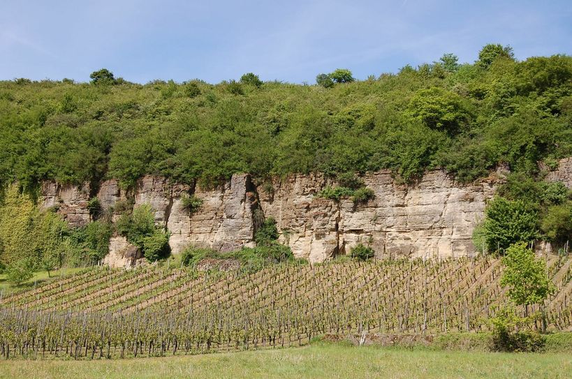 Nitteler Felsen: neuer "Leuchtpunkt der biologischen Vielfalt" Foto: Moselwein/Ansgar Schmitz