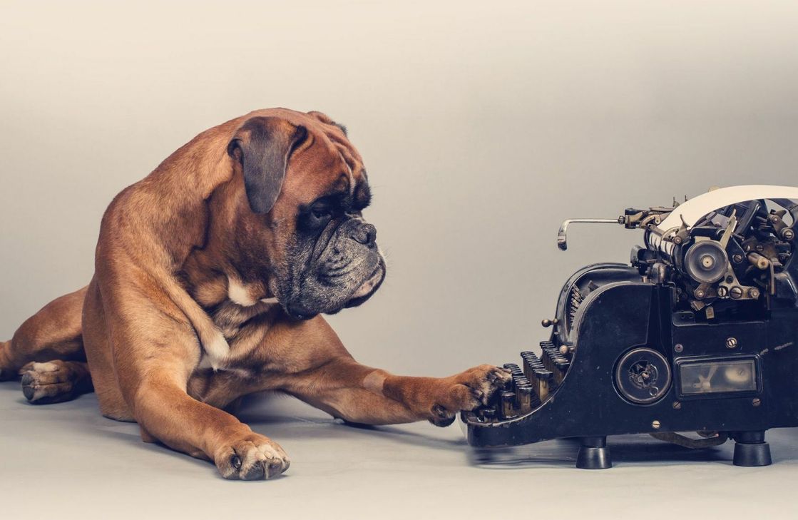 Etwa 60 Händler sollen zwischen VR-Volksbank-Kreisel und Rewe-Center ihre Stände aufschlagen und die Bahnhofstraße in eine große Trödel- und Kunstmeile verwandeln.