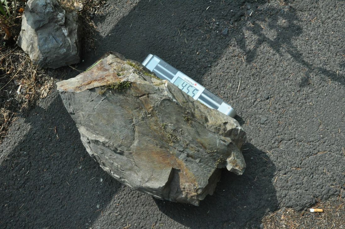 "Stolze" 45,5 Kilogramm brachte der Stein auf die Waage.
