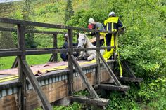Ein Pferd, das in eine hölzerne Fußgängerbrücke im Wadrilltal bei Grimburg eingebrochen ist.