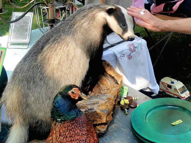 Tuchfühlung mit scheuen Tieren
