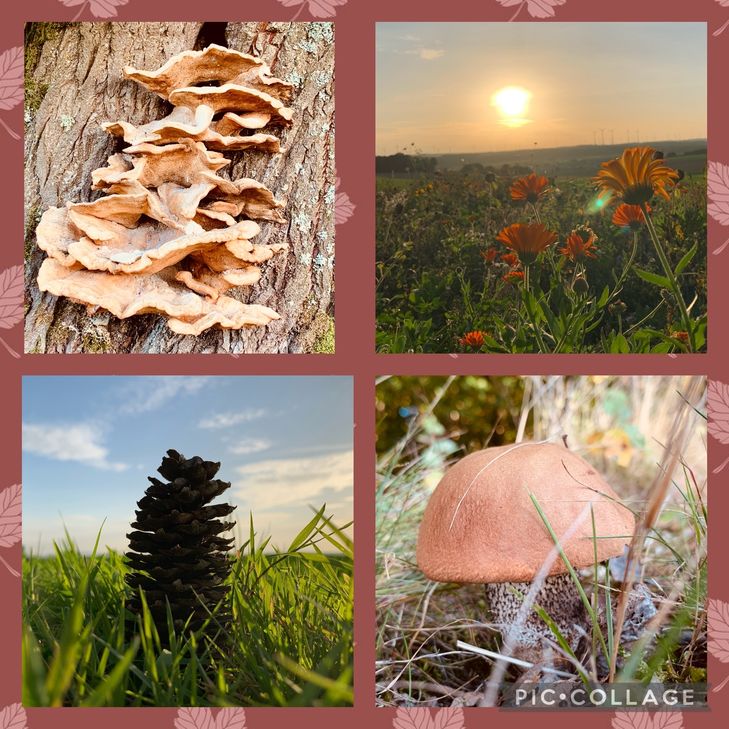 Herbstimpressionen