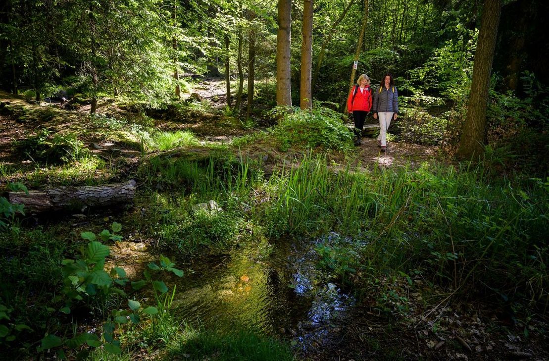Die Zusammenarbeit von Naheland- und Hunsrück-Touristik soll deutlich ausgebaut werden. Ein Pluspunkt für eine enge Verzahnung sind gemeinsame Themen und Einrichtungen, wie der Saar-Hunsrück-Steig.