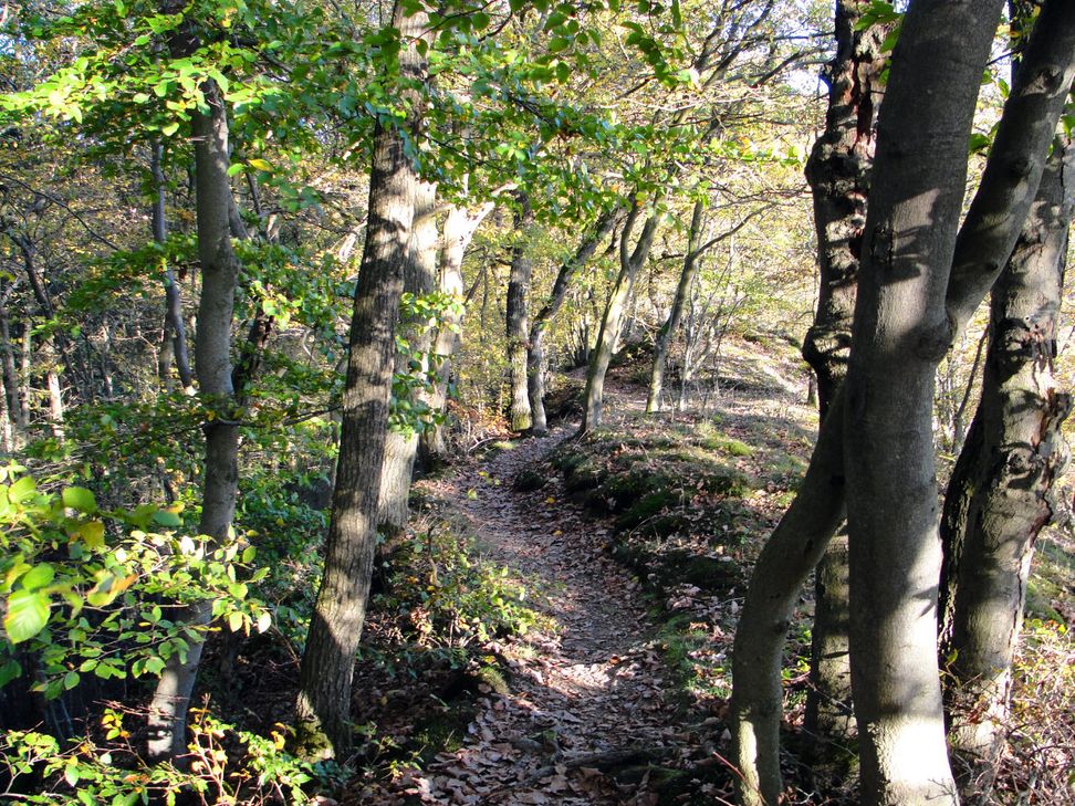 Auf dem Martinssteig.