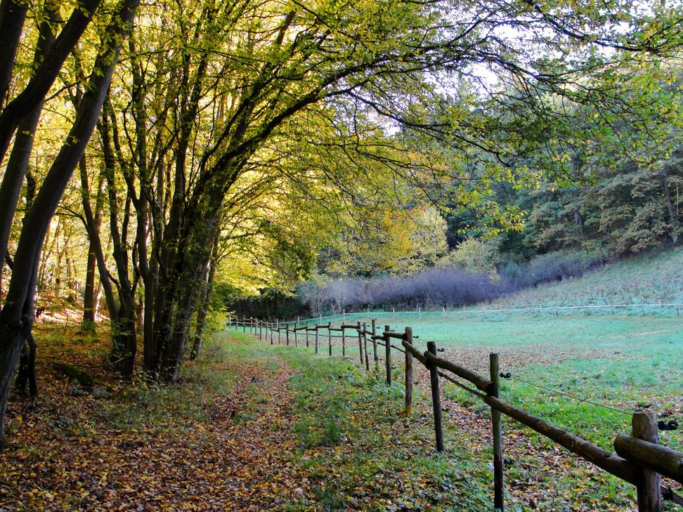 Aufstieg zum Hochthürmer.
