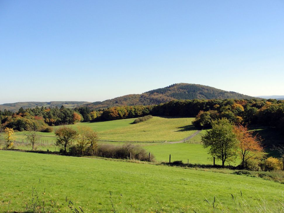 Hühnerberg-Panorama.