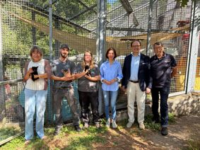 Sie begrüßen die neue Katzenschutzverordnung in Trier und hoffen auf Nachahmer (v. l.): Sabine Pütz, Justin Adrian, Simone Hunze, Annette Massing (Tierheim Trier), Dezernent Ralf Britten und der ehemalige Leiter des Tierheims, Andreas Lindig.