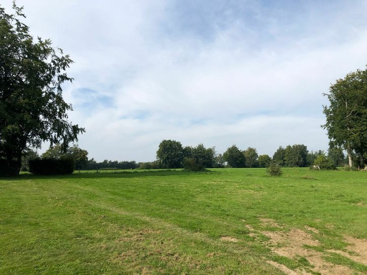 Die große Freifläche gewährt einen Blick ins Grüne. Fotos: T. Förster