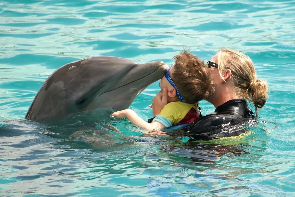 Der Förderverein Lützelsoon sammelt Spenden, um eine weitere Delfin-Thearapie für Niklas finanzieren zu können.