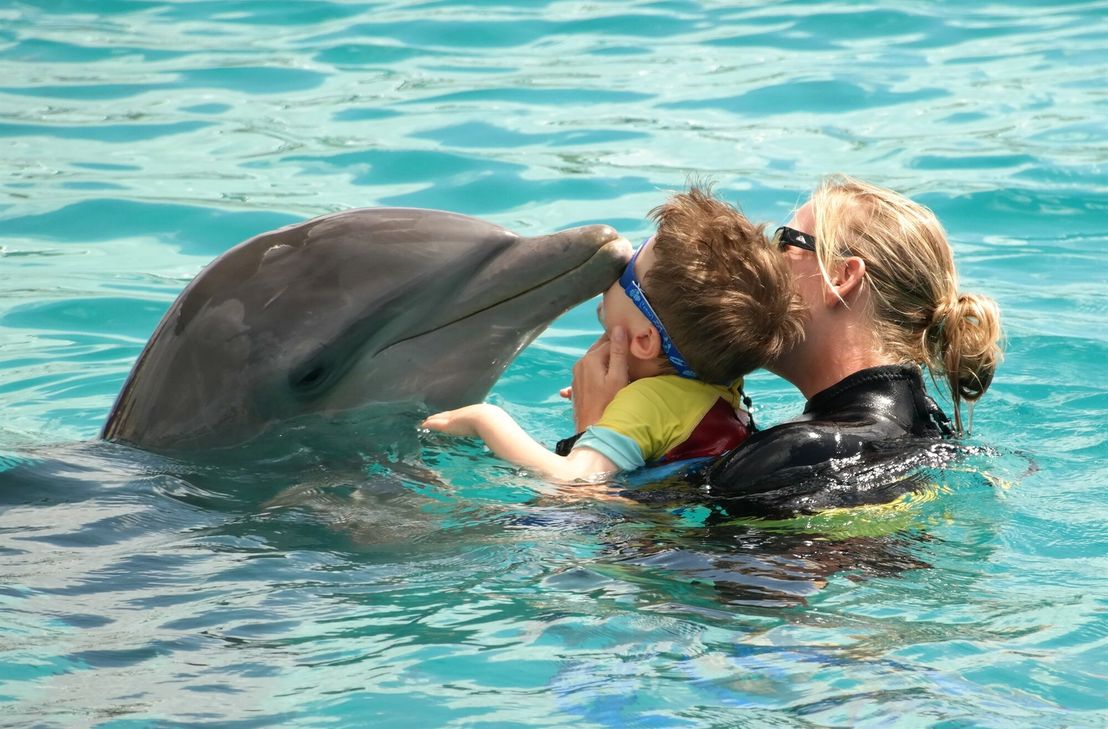 Der Förderverein Lützelsoon sammelt Spenden, um eine weitere Delfin-Thearapie für Niklas finanzieren zu können.