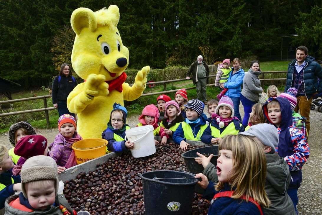 Der Haribo-Goldbär kommt wieder ins Wildfreigehege