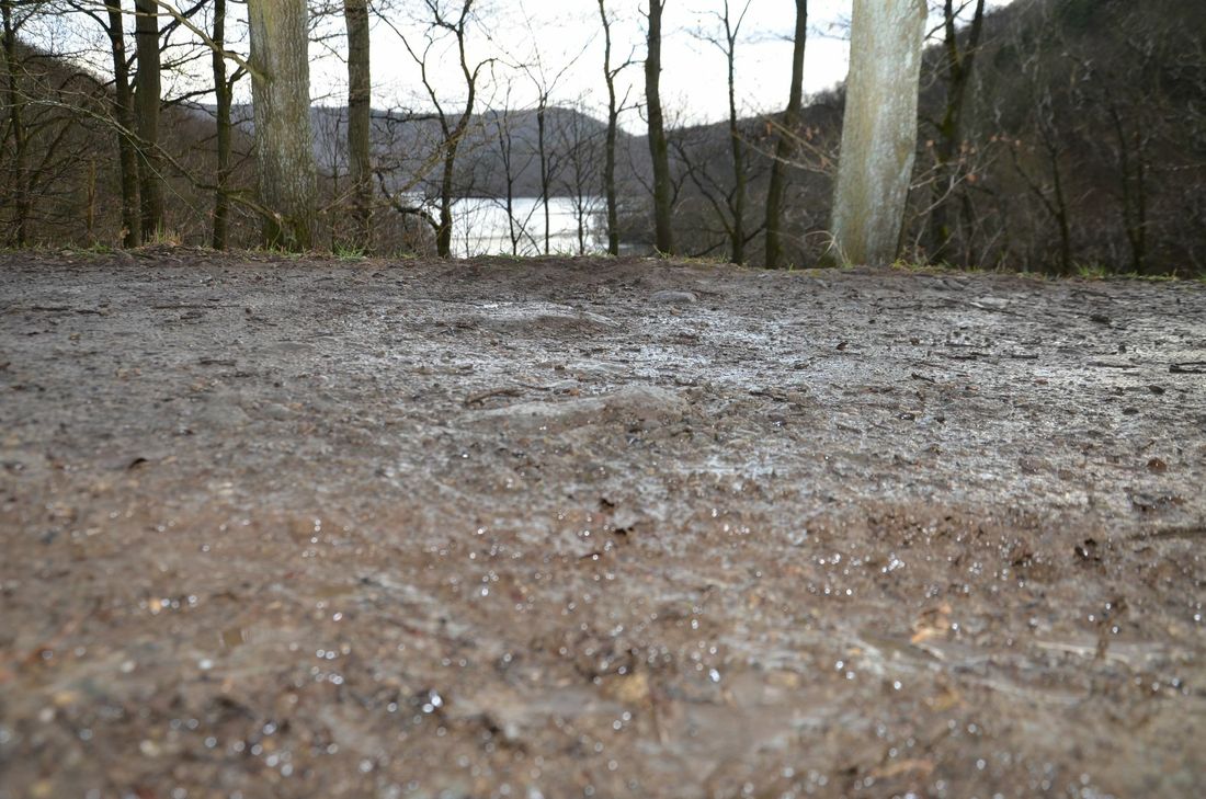 Denn aktuell entspricht die Trasse entlang der Rur nicht den Ansprüchen, um die Attraktivität der Region für radelnde Touristen zu steigern. Fotos: T. Förster