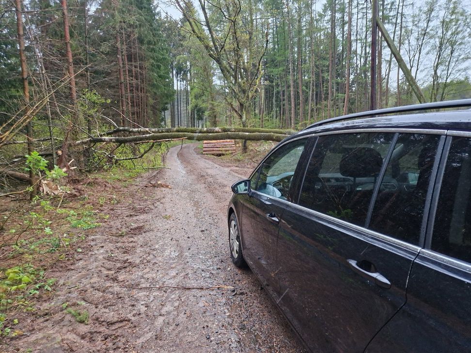 Umgestürzte Bäume auf den Straßen der Region