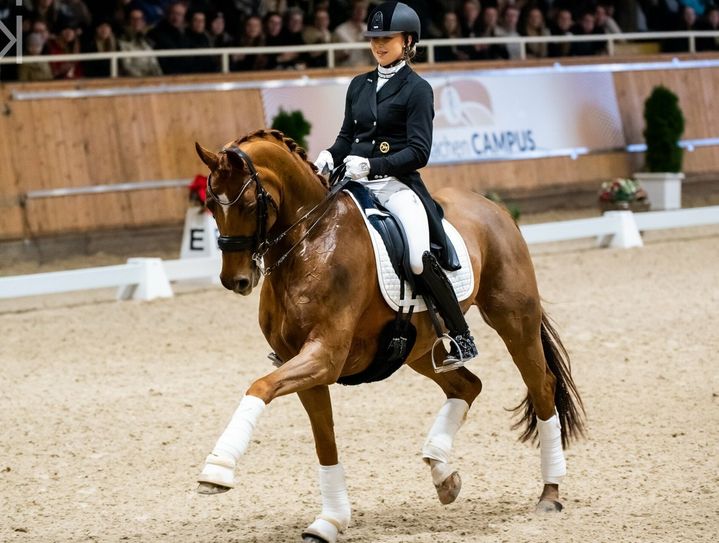 Ricarda Mombach hat im Dressursport eine Menge erreicht. Mit Ausdauer, Fleiß, ganz viel Können und einzigartigem Einfühlungsvermögen hat sie mit »Don Piero« eine ganze Reihe von großen Erfolgen gefeiert und nun das deutsche Reitabzeichen in Gold erlangt.