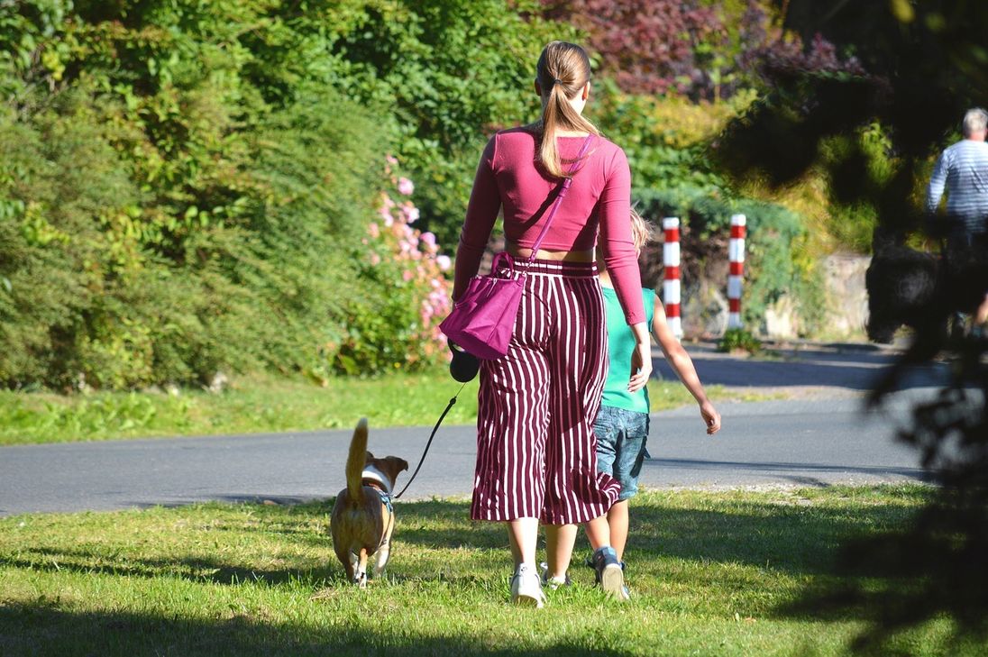 Die Polizei warnt Hundehalter vor Giftködern in Kenn. Zwei Hunde mussten wegen Vergiftungen ärztlich behandelt werden.
