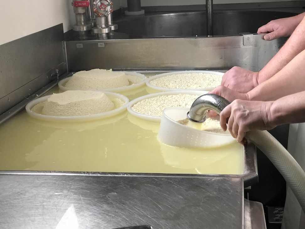 Die »Käserei on Tour« verarbeitet die Milch direkt vor Ort.