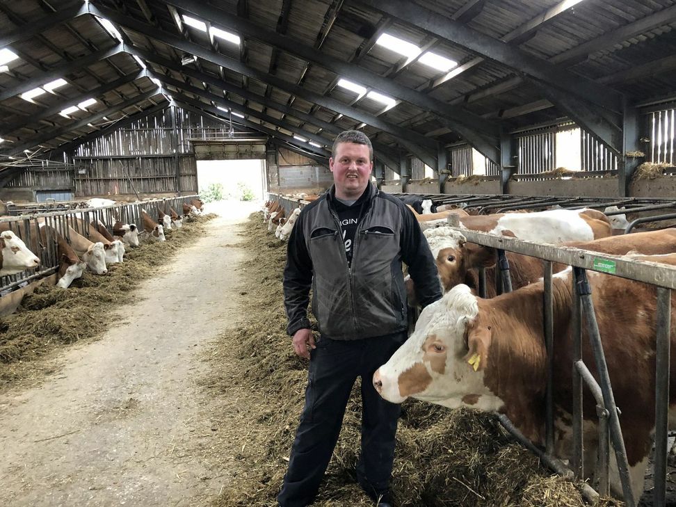 Alle 145 Kühe im Stall des Taubentaler Hofs in Keldenich geben a2-Milch.