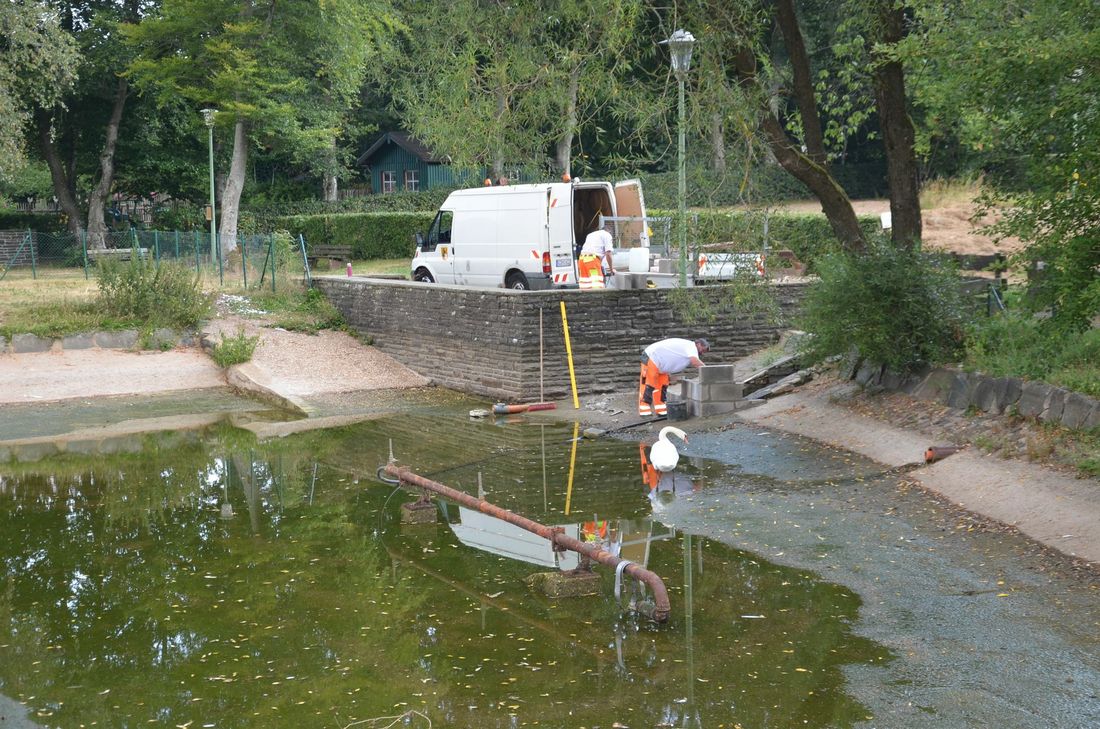 Der Monschauer Bauhof hat eine Mauer errichtet, die den Abfluss des Wassers aus dem Höfener Schwanenweiher verhindern soll. Foto: T. Förster