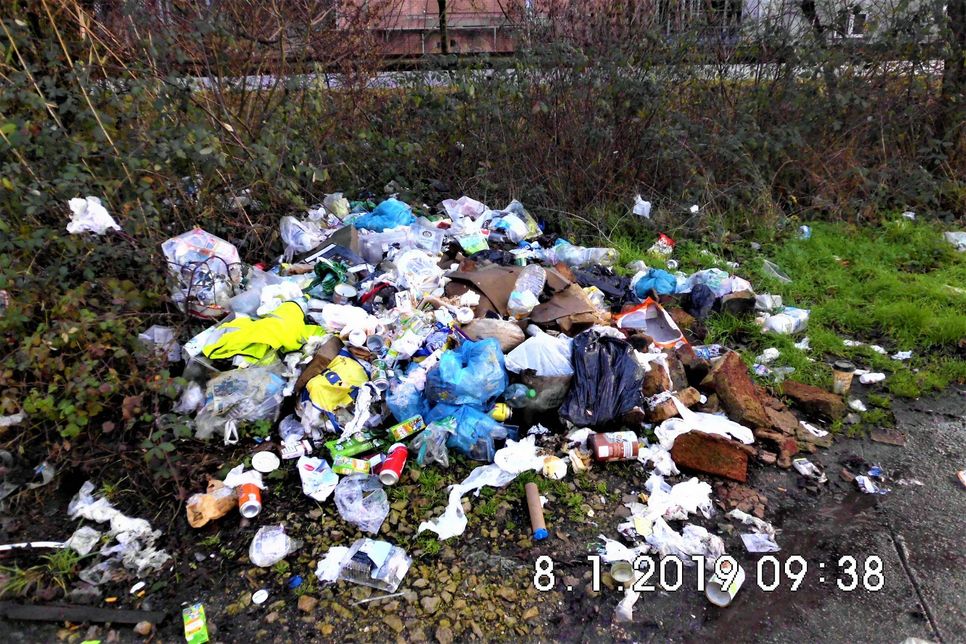 Unbekannte haben in der Elzstraße wieder jede Menge Müll illegal entsorgt. Foto: Eberhardt