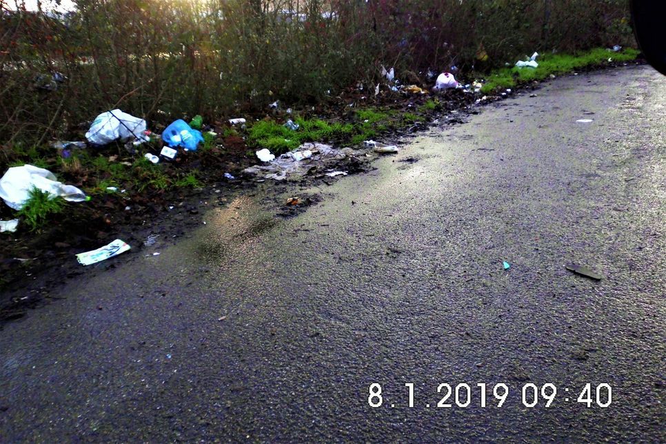 Unbekannte haben in der Elzstraße wieder jede Menge Müll illegal entsorgt. Foto: Eberhardt