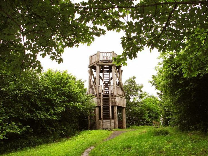 Ein Höhepunkt auf der Tour: Der Aussichtsturm auf der Dietzenley.