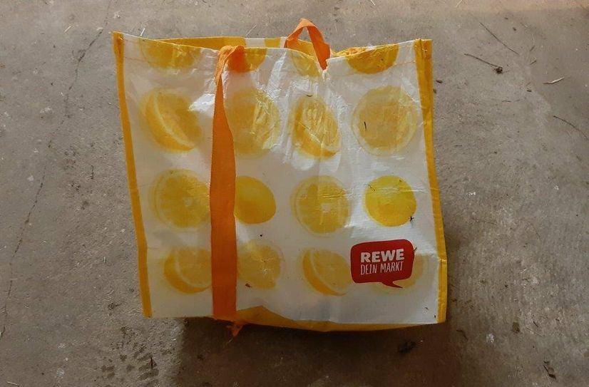 In dieser Tasche wurden die Katzen gefunden.