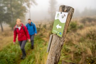 Wandern im Nationalpark Hunsrück-Hochwald.