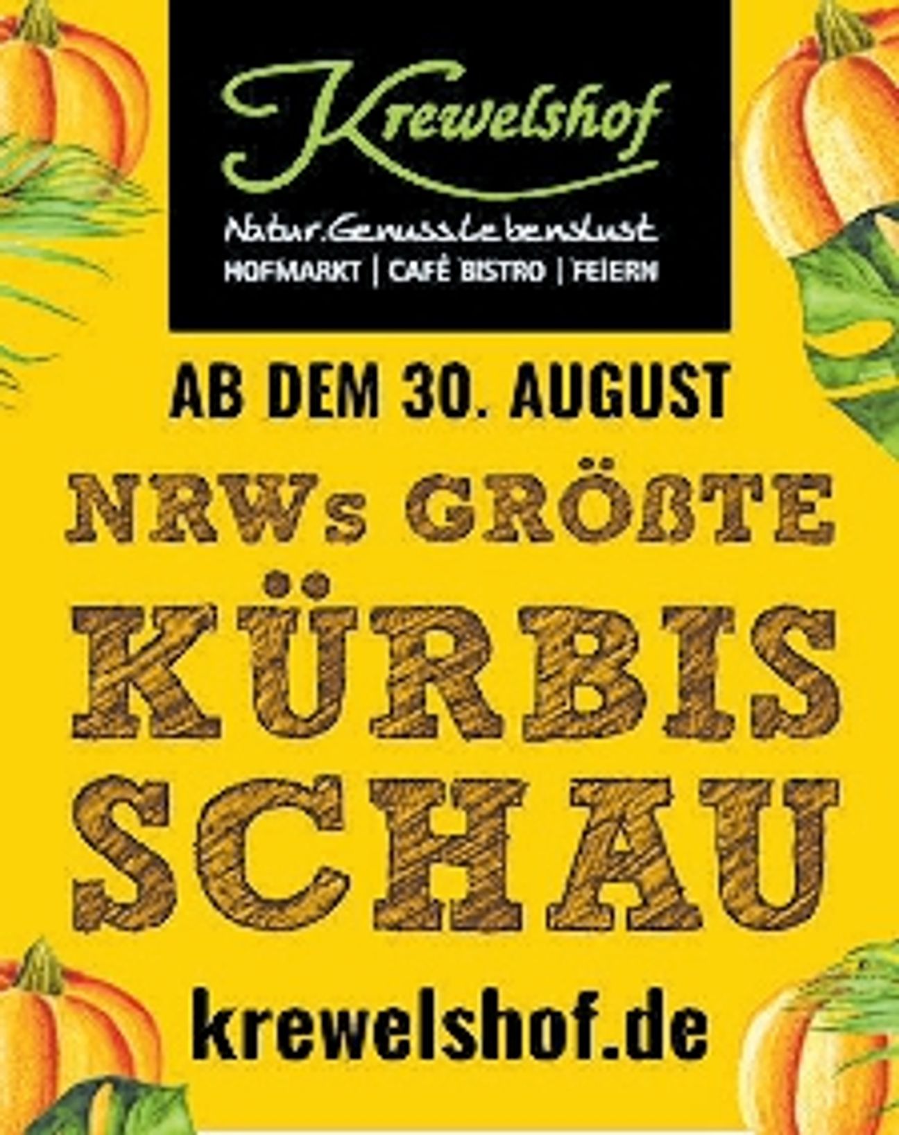 Kürbisschau Vorankündigung