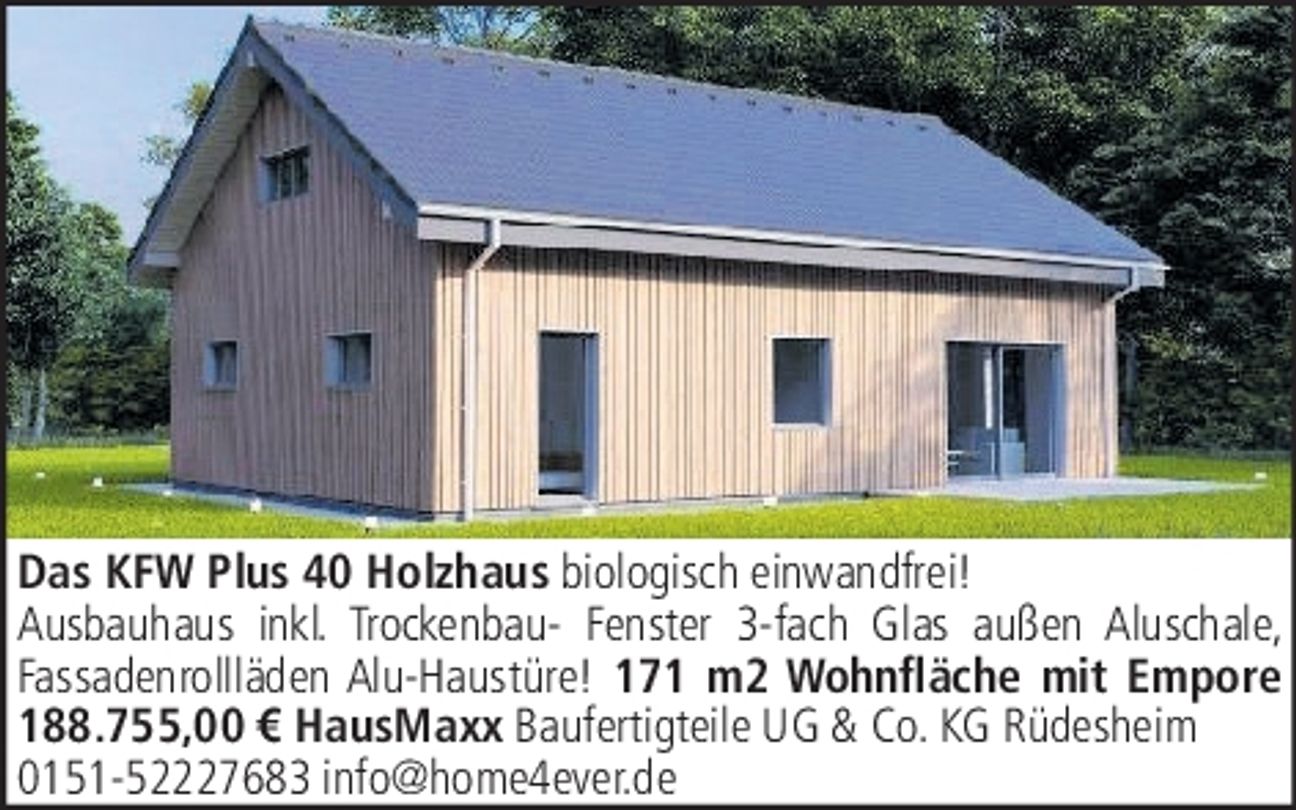 KFW Plus 40 Holzhaus