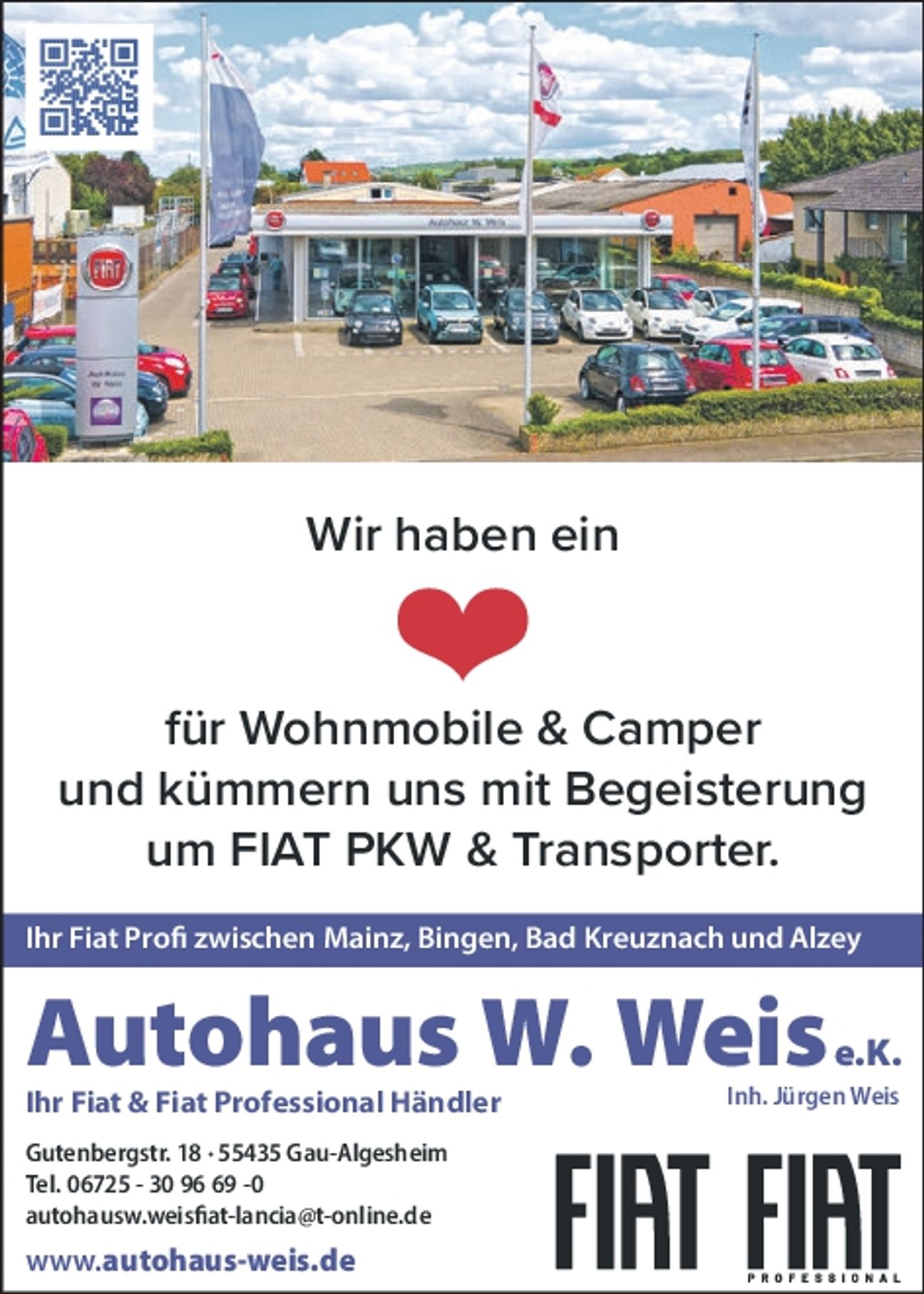 Weinsheim, Sommerfest WG Weyl,
