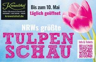 Stadtfest Euskirchen