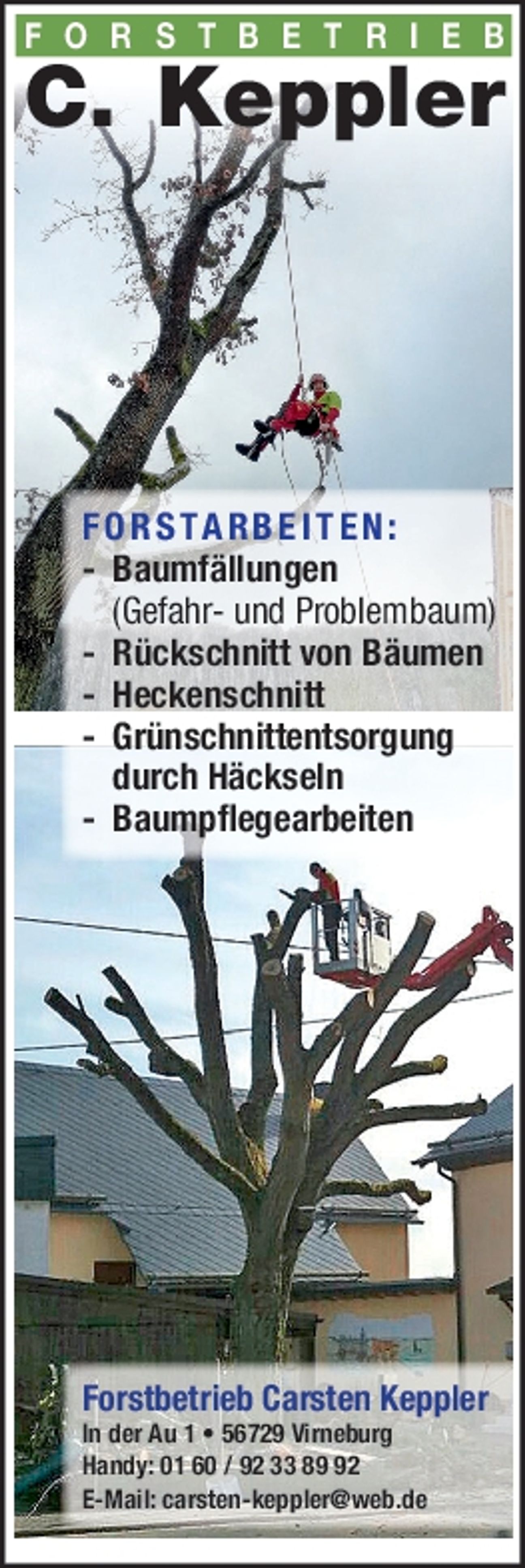 Bauen´Xtra Herbst
