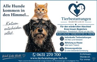 Imageanzeige