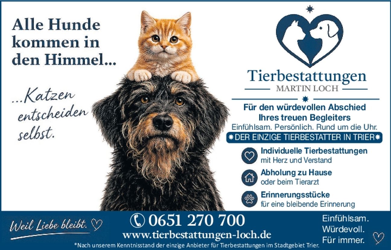 Imageanzeige