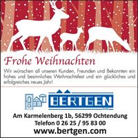 Weihnachtsgruß 2025