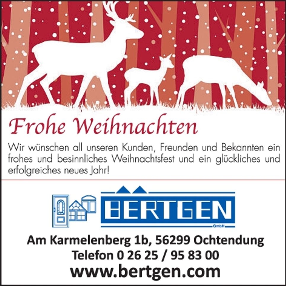 Weihnachtsgruß 2025