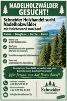 Nadelholz Wälder gesucht
