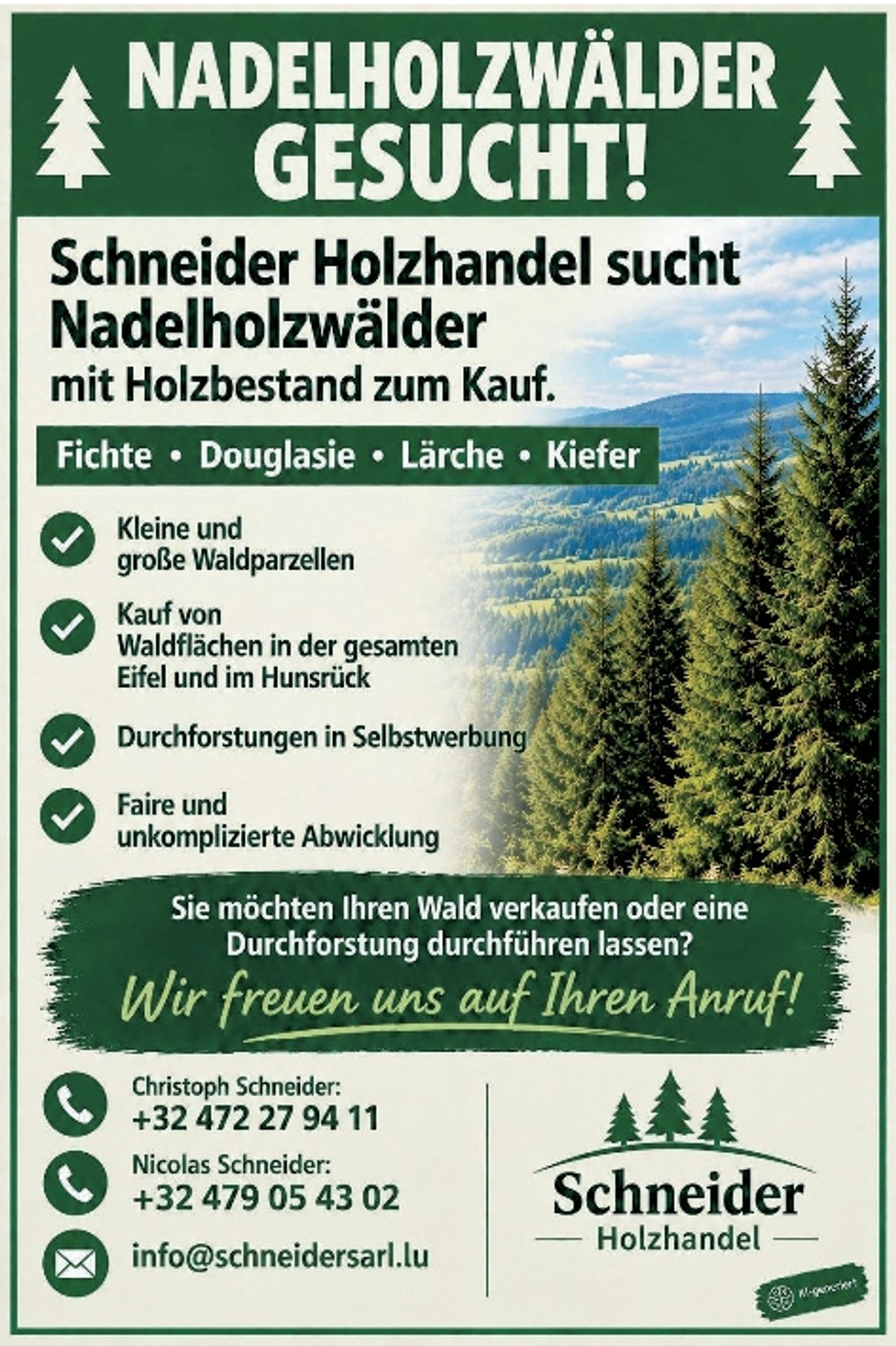Nadelholz Wälder gesucht