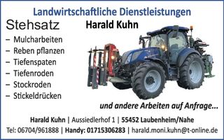 Guldental, Street Wine Festival,
