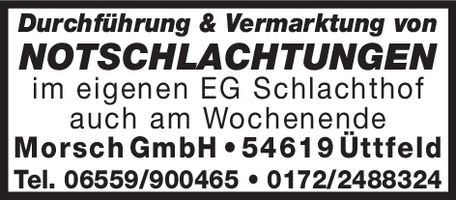 Durchführung & Vermarktung