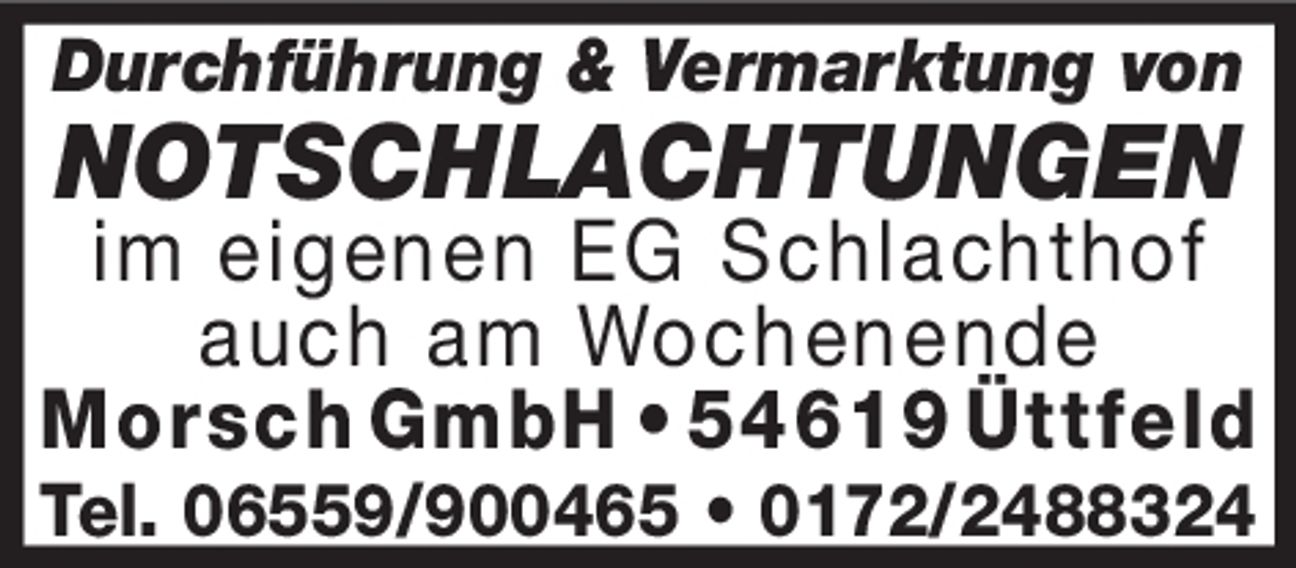 Durchführung & Vermarktung